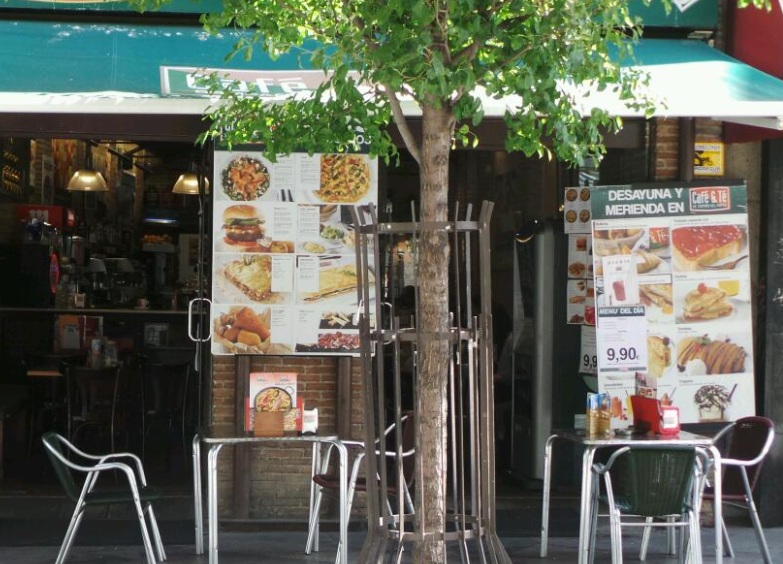 Galería de imágenes